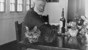 What puzzles me most is the uncertainty that i have regarding the cat. Hemingway S Use Of Animals As Psychological Symbols Davidgagne Net