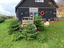 HankeHøj HandelsHus