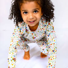 Alice + Ames The Short Sleeve Ballet Dress in Poppy Floral