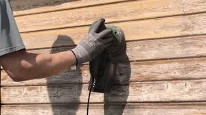 Schleifwerkzeug Zum Abschleifen Des Gartenhauses In 2020 Gartenhaus Garten Haus