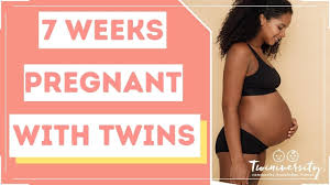 Total length about 15 1/4 inches. 7 Weeks Pregnant With Twins Twiniversity