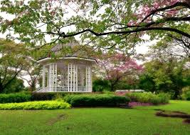 Mist garden, national orchid garden. Singapore Botanical Garden National Orchid Garden Singapore Tickets Tours Book Now