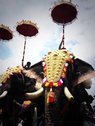 Sreerag On Twitter Elephant Photography India Culture Onam Images