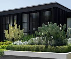 48 products online at nurserylive. A Striking Seaside Garden In Sydney With Sculptural Plantings Belle