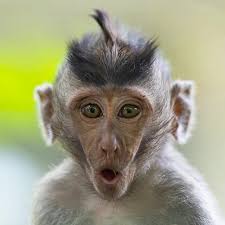 Ze vind je geeoon (nog) niet leuk genoeg!!!!! Meer niet.