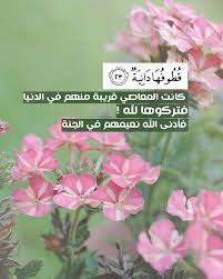 قطوفها دانية كانت المعاصي قريبة منهم في الدنيا فتركوها لله فأدنى الله نعيمهم في الجنة Holy Quran Quran Quotes Quran Arabic