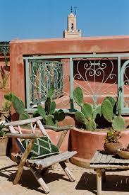 Fioriere con piante grasse decorate con. 880 Idee Su Cactus Piante Grasse Nel 2021 Piante Grasse Piante Cactus