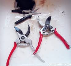 Check spelling or type a new query. A Quick And Easy Way To Clean And Sharpen Your Pruners