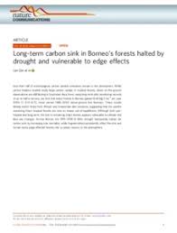 long term carbon sink in borneo's