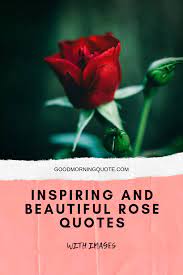 Rose Quotes Can Be Inspiring And Motivational If You Are Looking For Some Beautiful Rose Quotes This Article Is For You H Rose Quotes Quotes Our Love Quotes