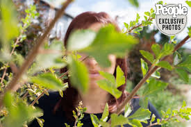 نتیجه جستجوی لغت [abuses] در گوگل