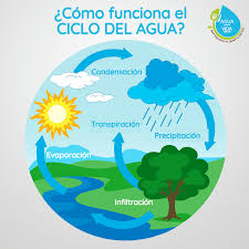 Sin este proceso, las zonas calientes tardarían más tiempo en enfriarse, el agua se estancaría en los océanos y los efectos. Agua Para La Vida Bolivia Como Funciona El Ciclo Del Agua El Ciclo Del Agua Es Un Proceso Sin Principio Ni Fin Por Las Que Pasa El Liquido Elemento Evaporacion Producida