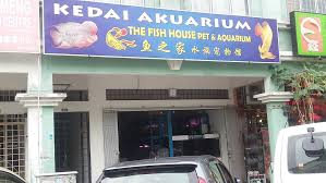 Regular price myr207.50 member price myr179.00. The Fish House Pet Aquarium Aquarium In Bandar Puteri