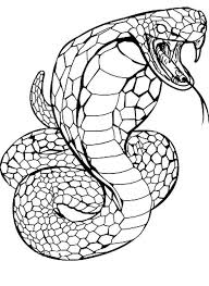 Animali Serpente Cobra Da Stampare E Colorare