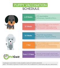 For example, the arizona humane society charges $19 for each booster shot. Dog Puppy Vaccinations Puppy Shots Schedule Costs