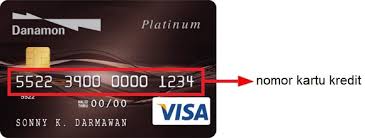 Selain tanpa npwp, bank danamon juga mempunyai kartu kredit yang bisa dipakai masyarakat yang belum pernah punya kartu super itu. Apply Kartu Kredit Danamon Jenis Syarat Bunga Cara Pengajuan Online Sikatabis Com