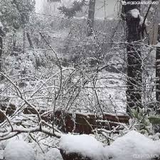 Será que a neve ocorra em são paulo? Pode Nevar No Sul Do Brasil Hoje