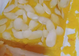 Resep bolu panggang keju sumber gambar: Resep Bolu Labu Kuning Kukus Anti Gagal Best Recipes