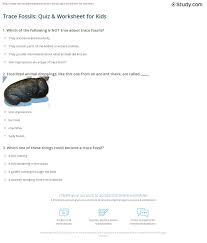 Trace Fossils Quiz Worksheet For Kids Study Com