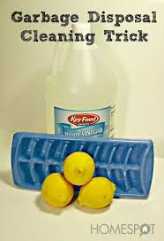 Check spelling or type a new query. Garbage Disposal Cleaning Trick With Images Garbage Disposal Cleaning Cleaning Disposal