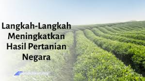 Keluarga juga boleh membantu mengurangkan kadar kemalangan jalan raya. Langkah Langkah Mengatasi Kemalangan Jalan Raya