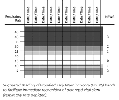 Prototype General Observation Chart Section Download