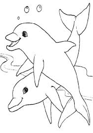 35 Delfin Ausmalbilder Kostenlos Ausdrucken Ausmalbilder Ausmalbilder Tiere Bunte Bilder