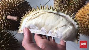 دورين) ialah buah daripada beberapa spesies pokok dalam genus durio (pokok durian) yang menghasilkan buah beraroma kuat yang boleh dimakan. Cara Memilih Buah Durian Yang Enak Dan Manis