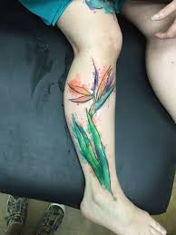Realistic Bird Of Paradise Flower Tattoo Watercolor Birds Of Paradise Tattoo Tatuajes Pinturas