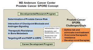 At md anderson, we understand how hard it can be to choose a hospital for cancer treatment. Md Anderson Cancer Center Prostate Cancer Spore Trp