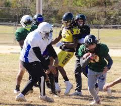 Wilson Lions about more than football