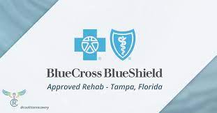 Please also consider us as your car insurance tampa specialists. In Network Hmo Bcbs Floridablue Provider In Tampa Florida Tampa Fl