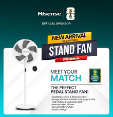 Hisense HSF40WE58DR 16‑Inch Stand Fan