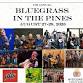 17th Annual Bluegrass In The Pines Festival