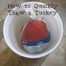 how to quickly thaw a turkey eat like