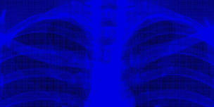JACK WHITE LIVE 2026