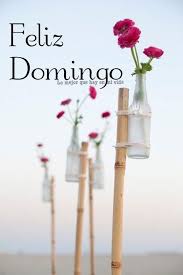 Domingo Imagen 8 Good Morning Quotes Morning Greeting Feliz