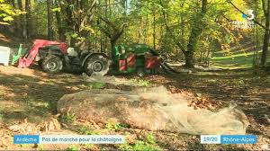Chataigne D Ardeche Aop Journal Televise France 3 Rhone Alpes 30 10 20 Facebook