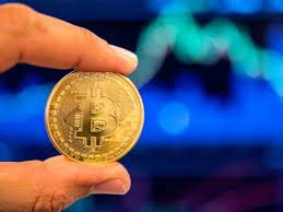 And our stocks are going to shoot up like crazy! Just Hodl What Bitcoin Investors Should Be Thinking Now Yourmoney Cryptocurrency Gulf News