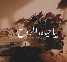 pin on fav songs