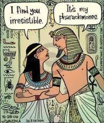 Cartoon Saturday Nerd Humor Bizarro Comic Funny Cartoons
