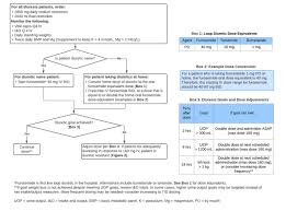 Image result for Loop Diuretic