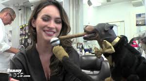 Triumph The Insult Comic Dog Visits The Set Of This Is 40 Youtube