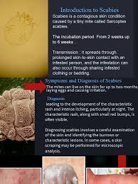 Image result for scabies transmission