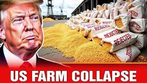 Gain a competitive edge in your grain marketing.