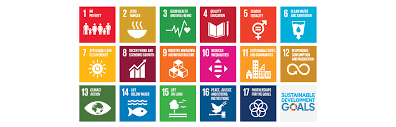 9.infrastruktur dan inovasi desa sesuai kebutuhan. Sustainable Development Goals