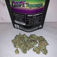 Basic info about topanga canyon og. Jungle Boys Grape Topanga The Lotus Dispensary