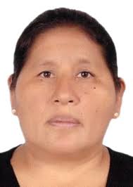 Antecedentes de Otorongos Elecciones 2022