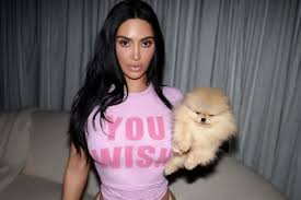 Did Kim Kardashian Unfollow Kendall Jenner After Lewis Hamilton Appearance? What We Know
