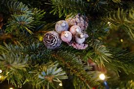 Brightly lit, decked out in ornaments and tinsels, choose from the best christmas tree images and pictures from our collection. Types Of Christmas Trees Real Christmas Tree Guide